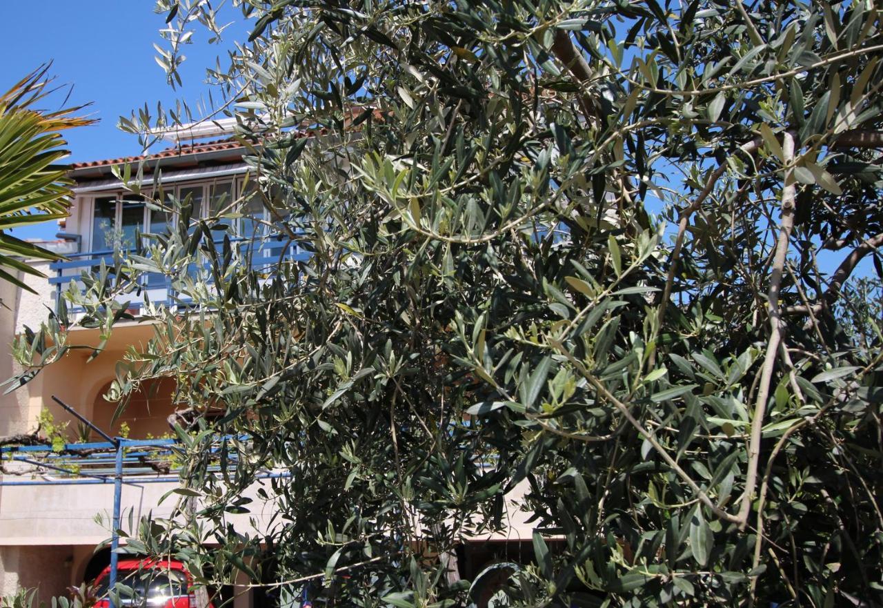 Linea Mare Apartment Rovinj Exterior foto